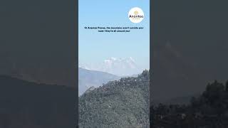 Top Unique Hotel in Mussoorie You Must Try ! #hotelsinmussoorie #mussooriehotels #mussoorie #travel