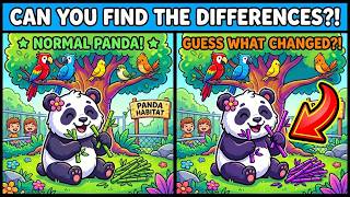 Cute Panda Spot the Difference 🐼 Easy Game for Kids screenshot 4