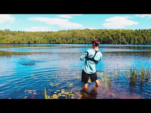 Comment Démarrer Une Carrière De Pêche À L’Achigan