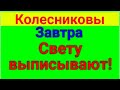 Колесниковы. Фермер и бартер. Обзор влогов. 15 06 2023 Колесников