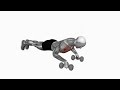 Push-Up - Proper Form & Technique