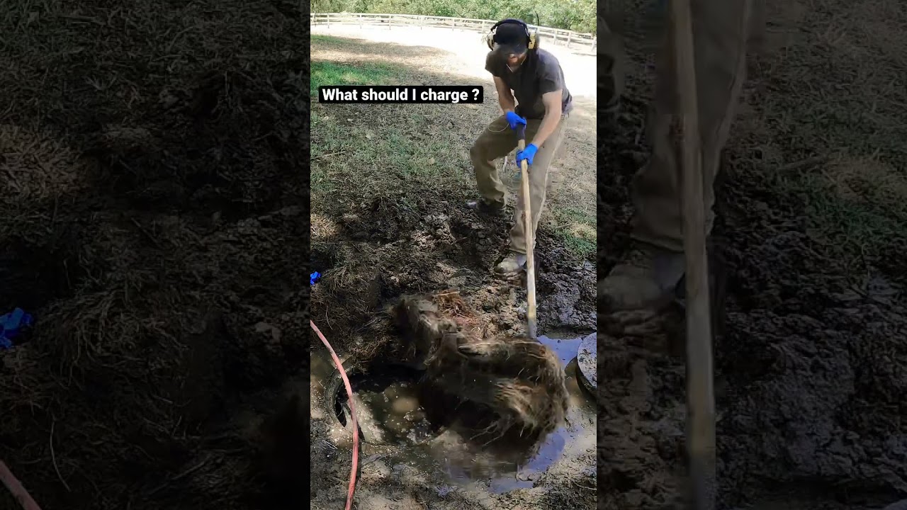 Removing a large root from a septic tank that had been never pumped. How much should I charge them??