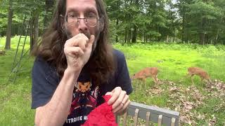 The Disappearing Handkerchief Trick