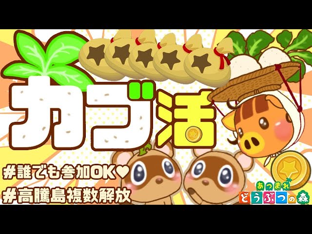 あつ森】600ベル以上複数解放｜カブ活｜ライブ【あつまれどうぶつの森