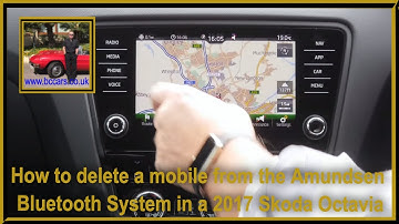 How to delete a mobile from the Amundsen Bluetooth System in a 2017 Skoda Octavia