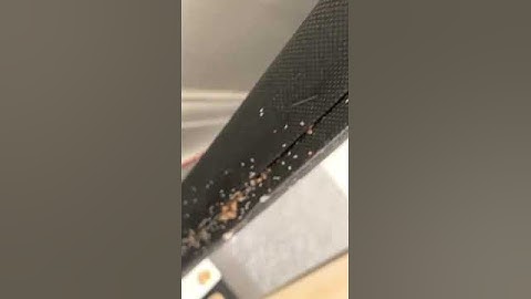 Video after bed bug heat steam removal treatment