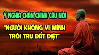 Câu Nói Kinh Điển Của Nhà Phật Ai Cũng Hiểu Sai Hàng Nghìn Năm Nay