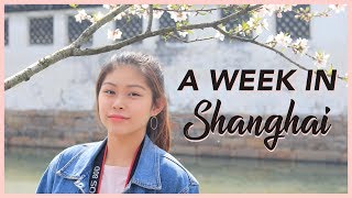 A WEEK IN SHANGHAI | Nicole Chow