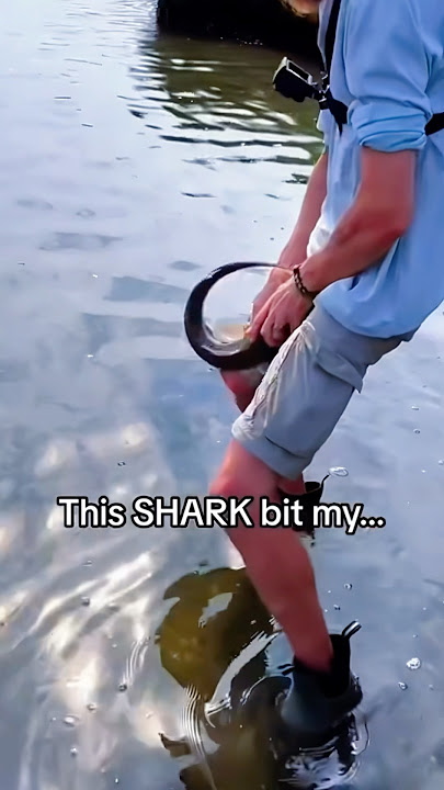 Funny fish #foryou #funny #animallife #fish