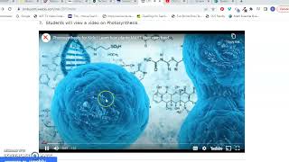 LTDE 5317 Show and Tell Portfolio Screencast