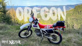 Oregon Dual Sport Riding on my 1991 Honda XR250L! (I Crashed