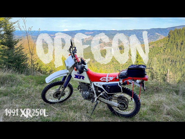 Oregon Dual Sport Riding on my 1991 Honda XR250L! (I Crashed
