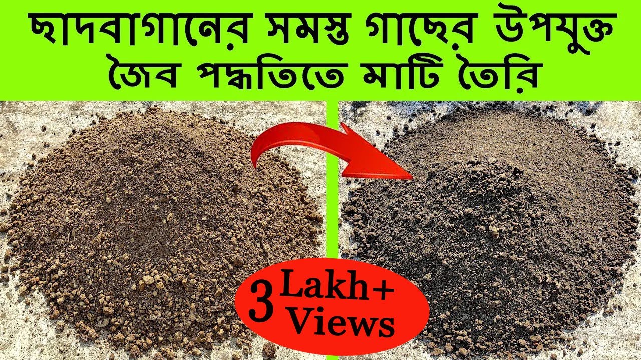 সমস্ত গাছের উপযুক্ত মাটি তৈরি / Organic Soil Preparation / Make Perfect soil for terrace Garden