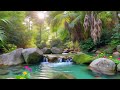 Deep Sleep Starts Now 😴 River Sounds & Birds for Instant Relaxation