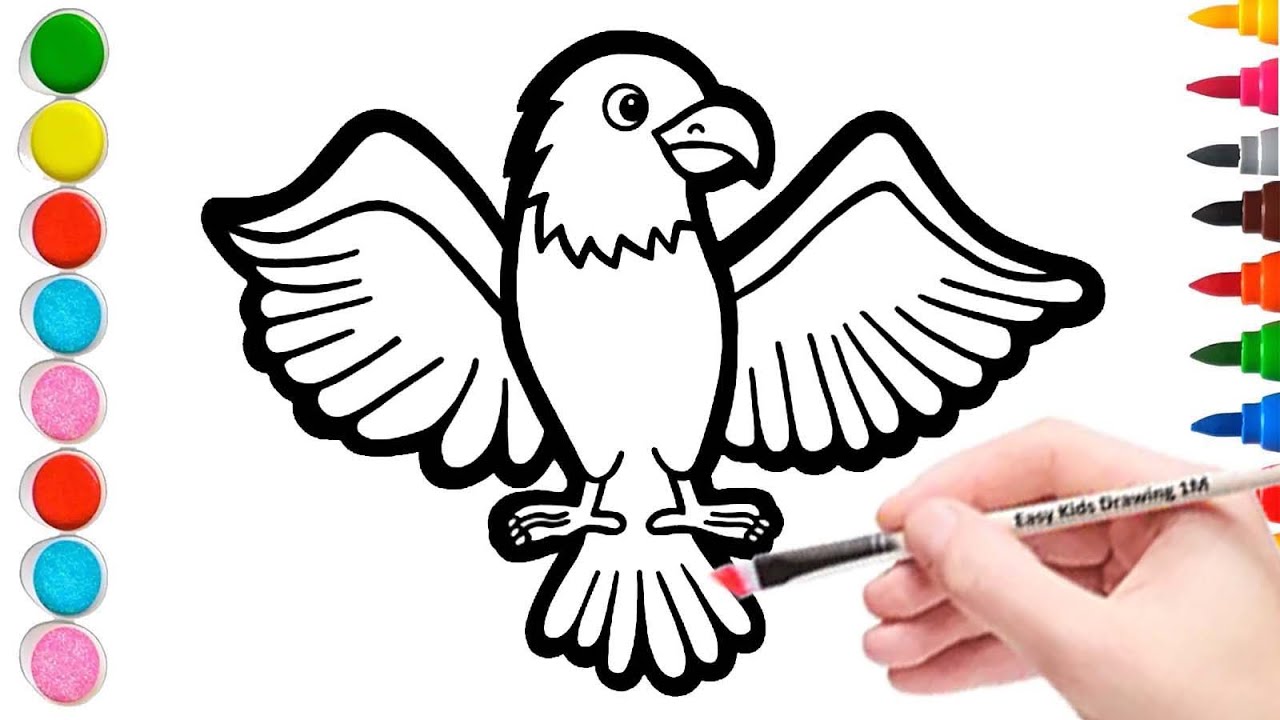 How to Draw a Colorful Eagle For Kids Step by Step ||