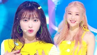 OH MY GIRL - BUNGEE (Fall in Love) [SBS Inkigayo Ep 1014]