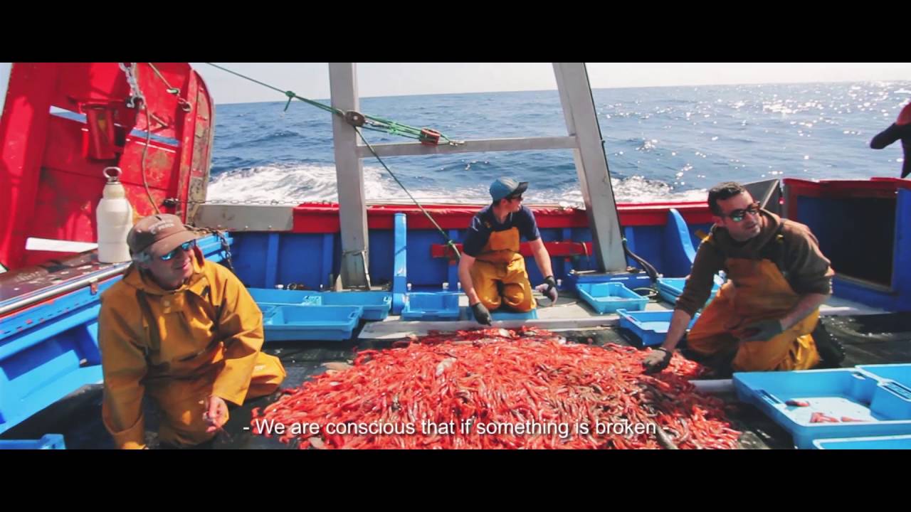 Gafas fabricadas con redes de pesca abandonadas en el mar