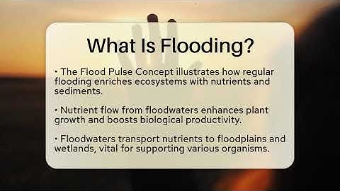 What Is Flooding? - Ecosystem Essentials