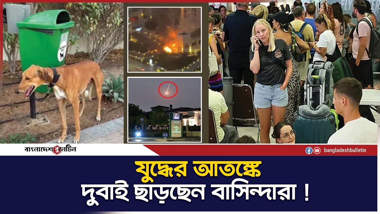 আতঙ্কে দুবাই ছাড়ছেন বাসিন্দারা, রাস্তাঘাটে পোষা প্রাণী পড়ে আছে | Bangladesh Bulletin