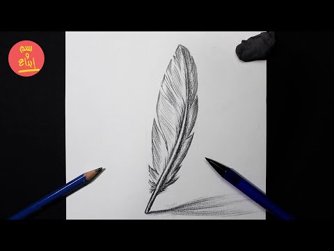 تعليم الرسم || رسم ريشة بالرصاص والخطوات || Drawing a Feather