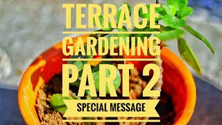 TERRACE GARDENING PART 2|PUNJABI VLOG 2020|SPECIAL MESSAGE|SUPPORT FARMERS
