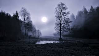 The Light We Left Behind — For the Memories That Still Hurt