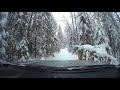 На автомобиле по зимнему лесу