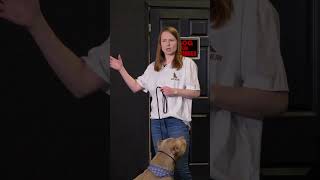 How to Teach Your Dog the “Come” Command