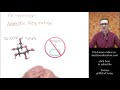 Understanding Fermentation and Cellular Respiration