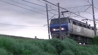 【EF200代走】5070レ EF200-20+コキ