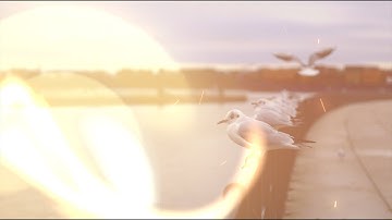 Light Transitions 4.0 for Premiere Pro, Final Cut Pro, After Effects, Avid, Resolve and more.