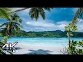 4K Seychelles Island - The Amazing Seychelles Islands In 4k Ultra HD - Part Three