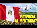 ¿CÓMO PERÚ BUSCA CONVERTIRSE EN LA MAYOR POTENCIA ALIMENTARIA DE SUDAMÉRICA EN 5 AÑOS?