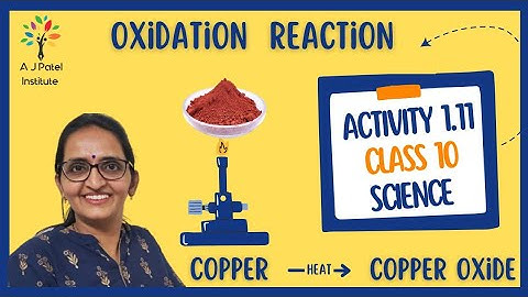 ACTIVITY 1.11 ll CLASS 10 ll SCIENCE ll CHAPTER 1ll CBSE/NCERT ll ANKITA MAM