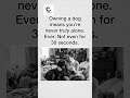 🦮🥰Never Alone Again: Life With a Dog #DogLover #FunnyDogs #DogHumor #PetParents #FurBaby #DogMom