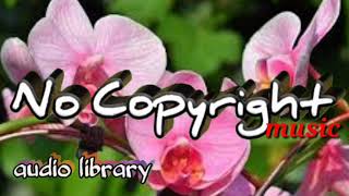 audio library- I drank_alone-(musik bebas copyright)