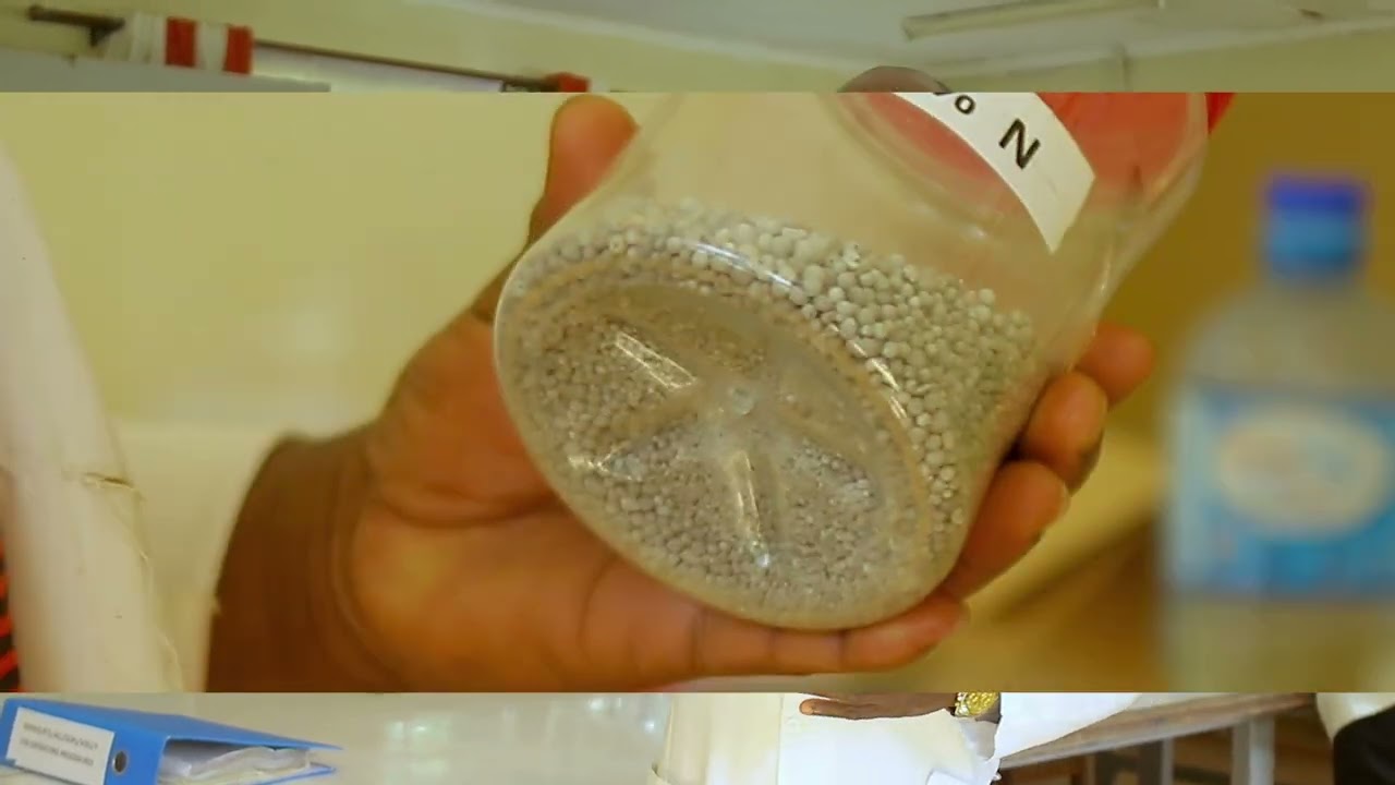 From the Field to the Market | How KEPHIS Kitale Safeguards Agricultural Quality