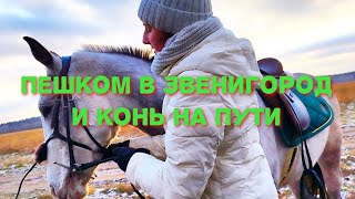 ПЕШКОМ в Звенигород|Москва Река Плывущие льдины и Конь Манул