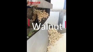 How to shell walnut?/Walnut Shelling Machine #Shorts