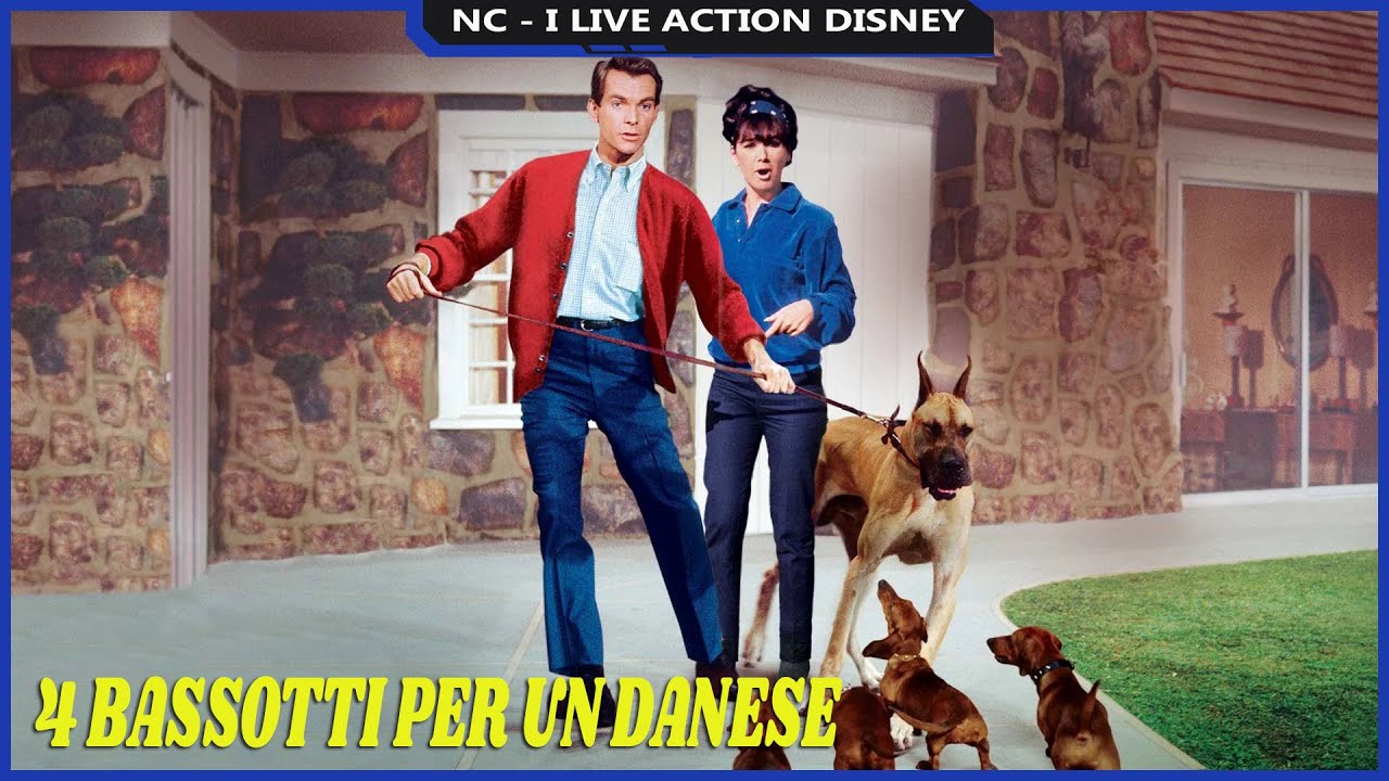 4 bassotti per 1 danese - Recensione E Analisi - I Live Action Disney