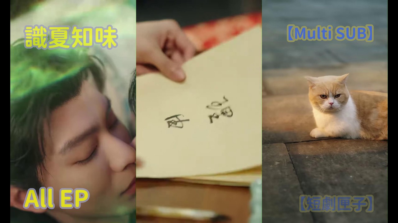 识夏知味：总裁狂婿的逆袭之路