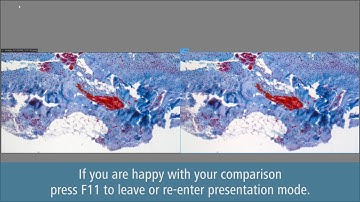 Jenoptik Gryphax Software Side by Side Comparison