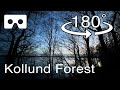 Kollund Strand Forest walk 8K