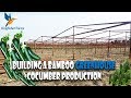 Making greenhouse farm with bamboo and cocumber produtcion (greenhouse project)