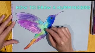 How To Draw A Hummingbird - Draw Easy