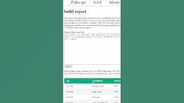 Requesting Data from Google Analytics GA4 in 1 Minute #ga4 #palmapi