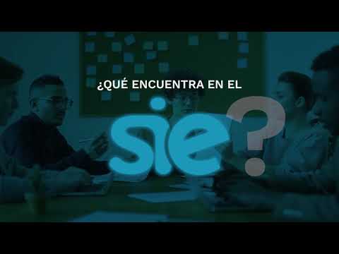 Sistema de Información Estratégica - SIE