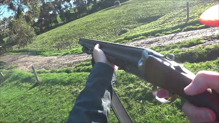 Driven Fox Hunt with Chiappa Triple Crown 20G and ...
