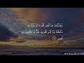 تلاوة نادرة للشيخ ياسر الدوسري من سورة الحج عام ١٤٢٤ تلاوة نادرة للشيخ ياسر الدوسري من سورة الحج عام ١٤٢٤