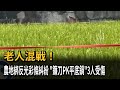 老人混戰! 農地綁反光彩條糾紛 「鐮刀PK平底鍋」3人受傷-民視新聞